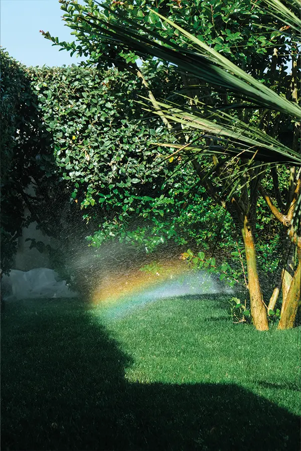 arrosage paysager mis a arcachon dans un jardin particulier