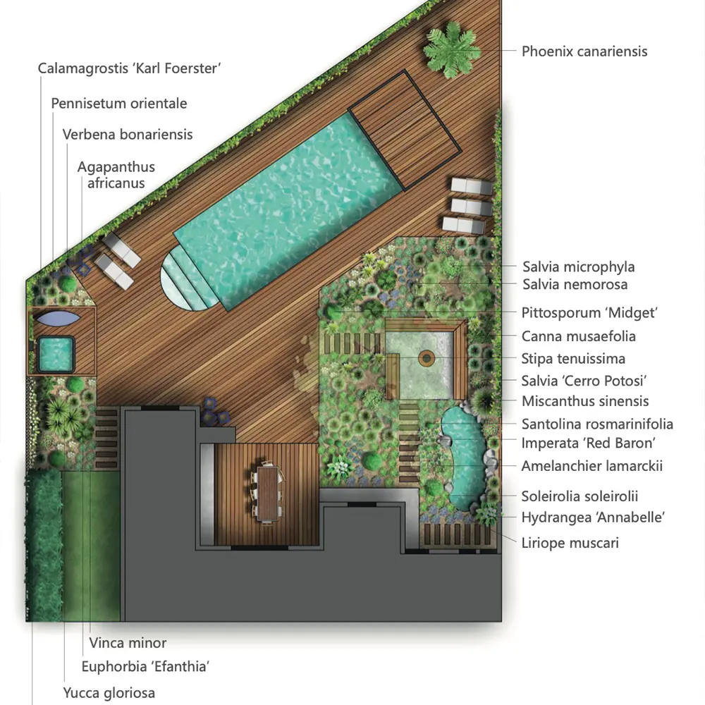 détaile du plan 3D avec les plante le bois et tout les elements présent sur la présentation