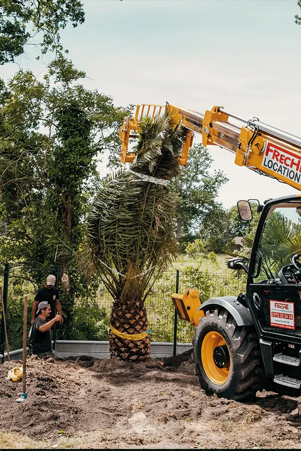 paysagiste arcachon entrain de planter un palmier avec un gru