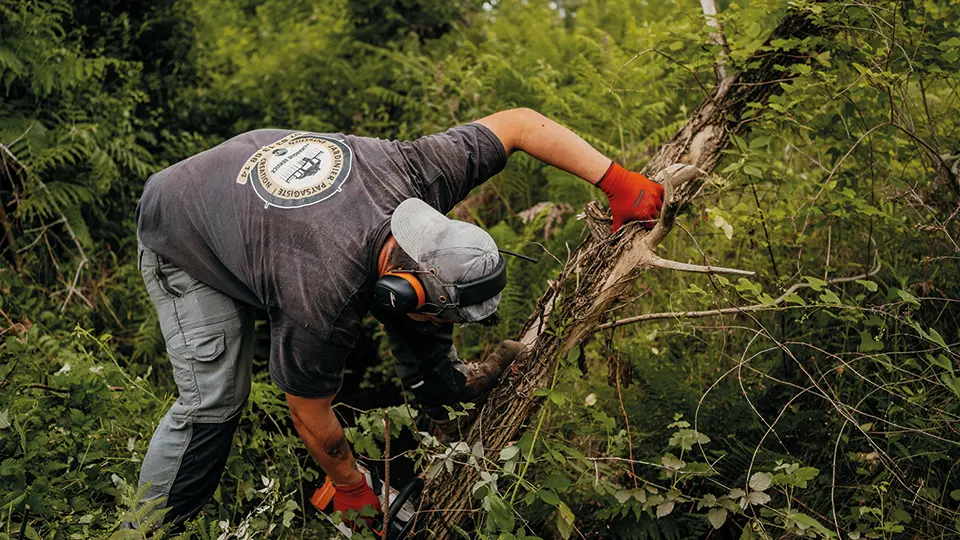 paysagiste de tchanque service entrain de bouper arbre dans friche pour entretien de jardin