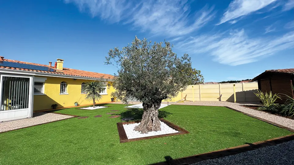 réalisation de jardin de tchanque service sur le bassin d'arcachon avec olivier au centre