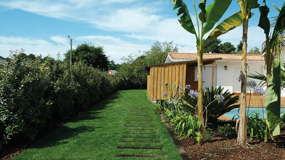 tchanque service conception gazon naturelle vert